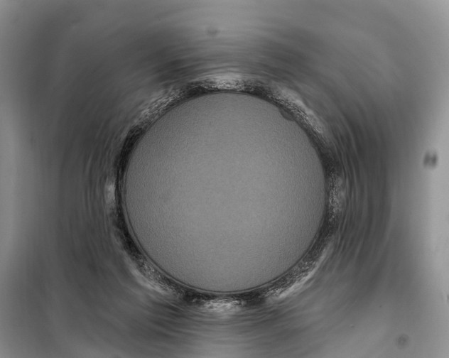 X0000097890213200804111026