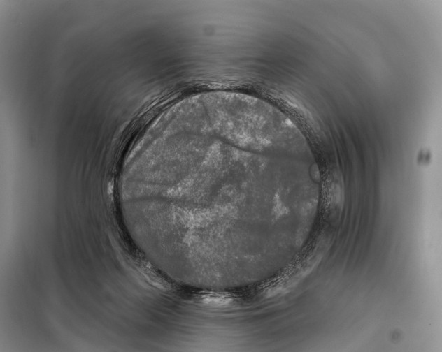 X0000097890214200804111026