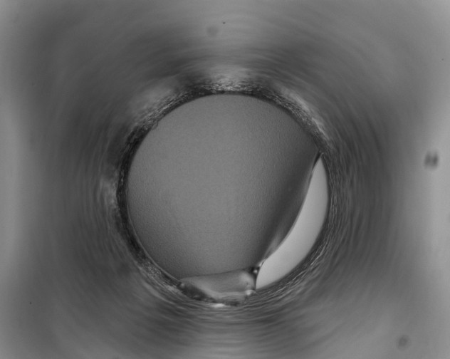 X0000097890217200804111026