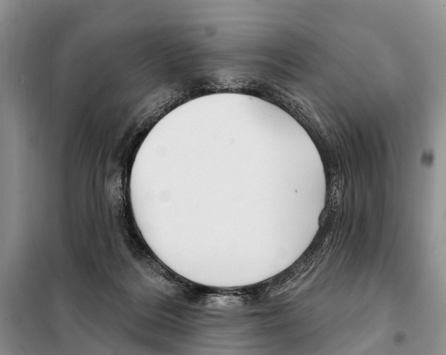 X0000097890220200804111026