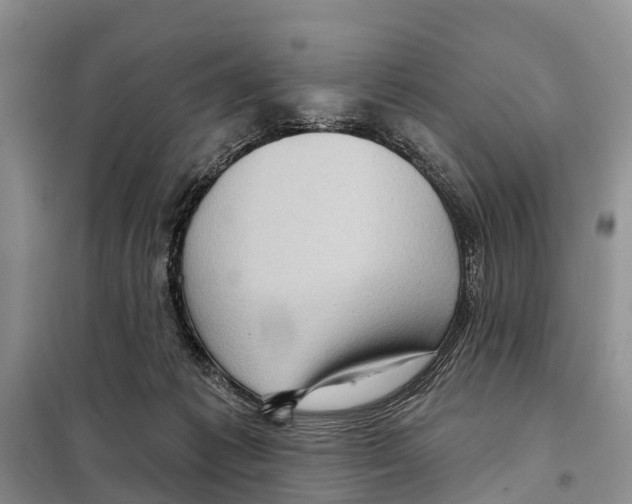 X0000097890221200804111026