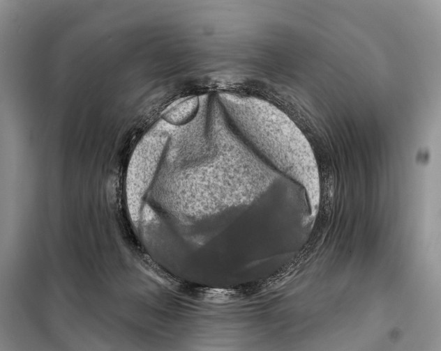 X0000097890222200804111026