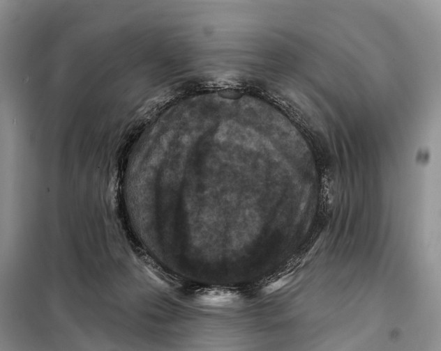 X0000097890223200804111026