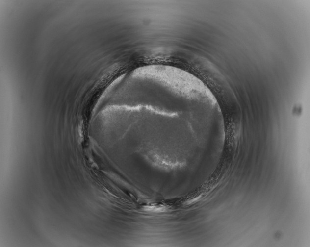 X0000097890224200804111026