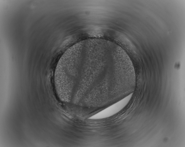 X0000097890229200804111026