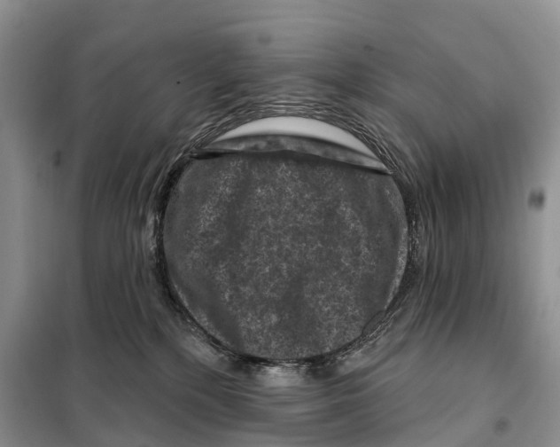 X0000097890232200804111026