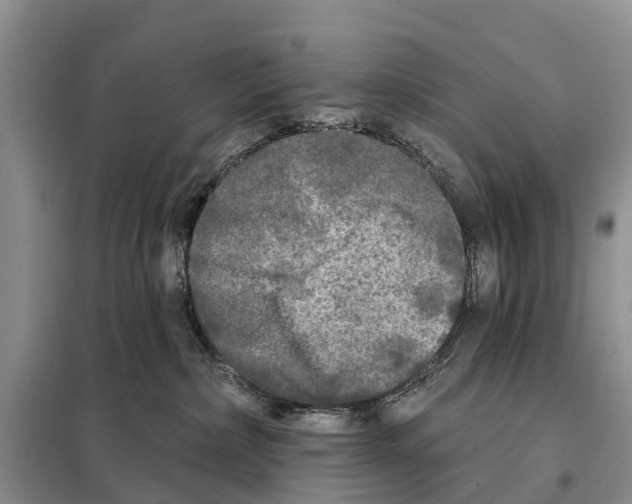 X0000097890236200804111026