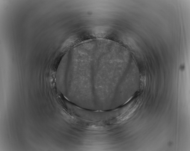 X0000097890237200804111026