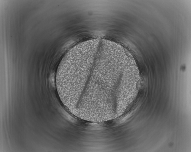 X0000097890238200804111026