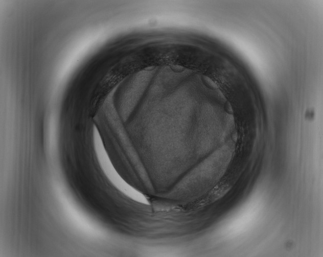 X0000097890239200804111026