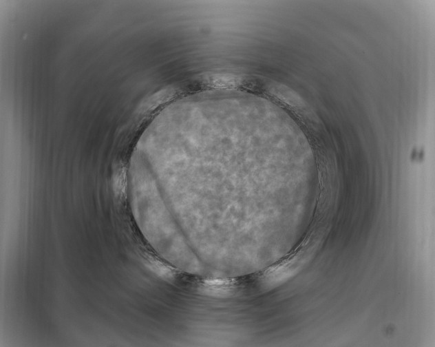 X0000097890240200804111026