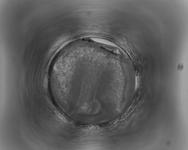 X0000097890243200804111025