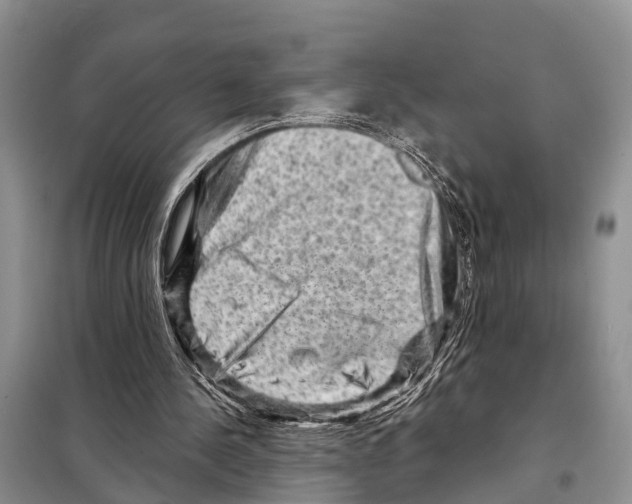 X0000097890244200804111025