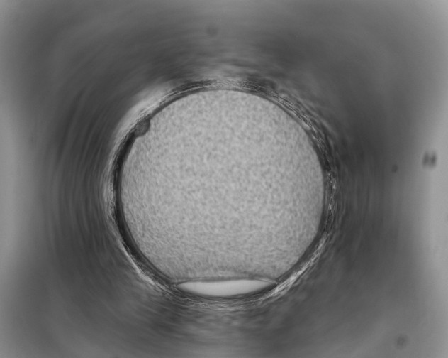 X0000097890245200804111025