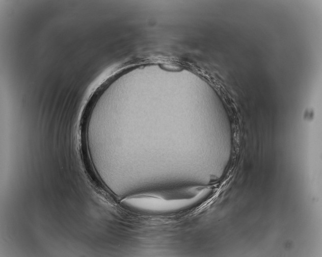 X0000097890246200804111025