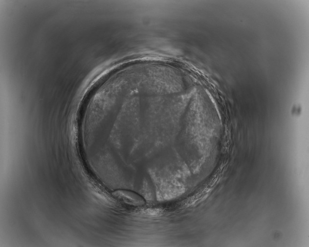 X0000097890247200804111025