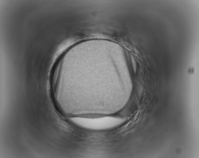 X0000097890248200804111025