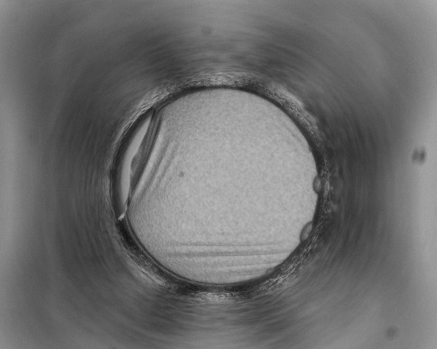 X0000097890250200804111025