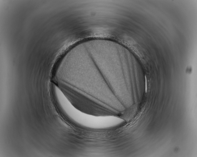 X0000097890252200804111025