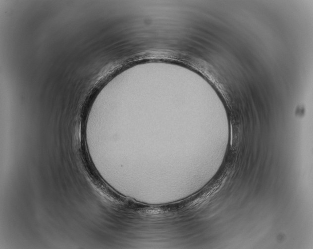 X0000097890253200804111025