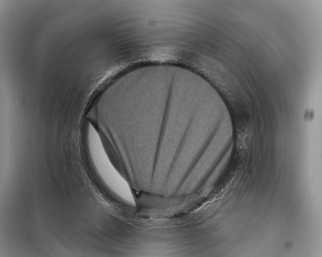 X0000097890256200804111026