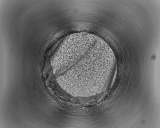 X0000097890260200804111026