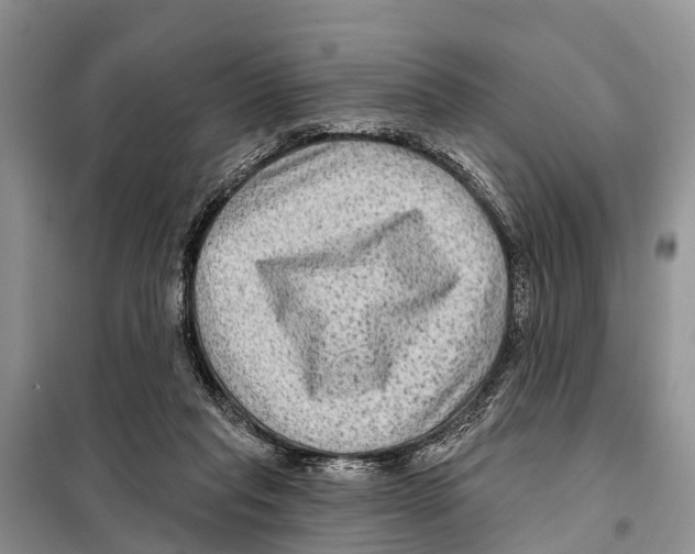 X0000097890261200804111026