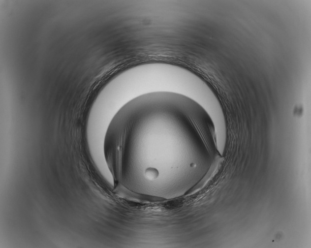 X0000097890262200804111026