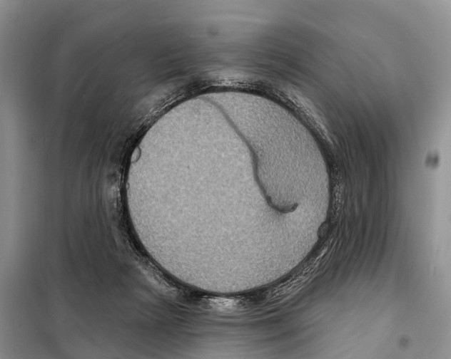 X0000097890265200804111026