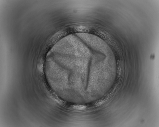 X0000097890266200804111026