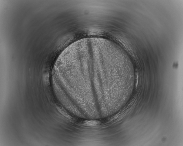 X0000097890269200804111026