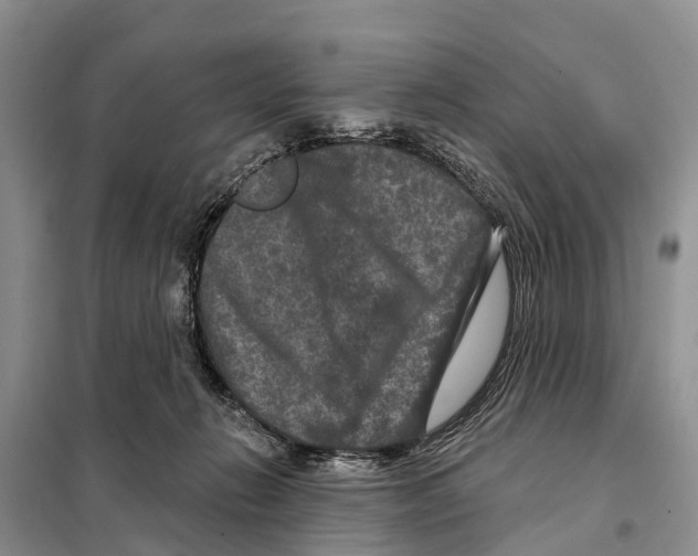 X0000097890270200804111026