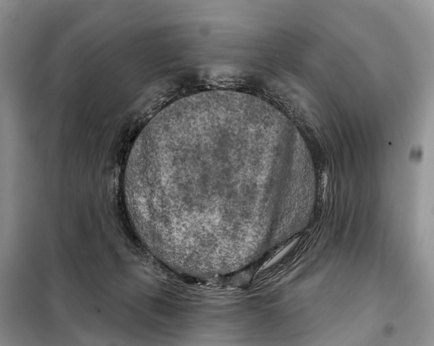 X0000097890271200804111026