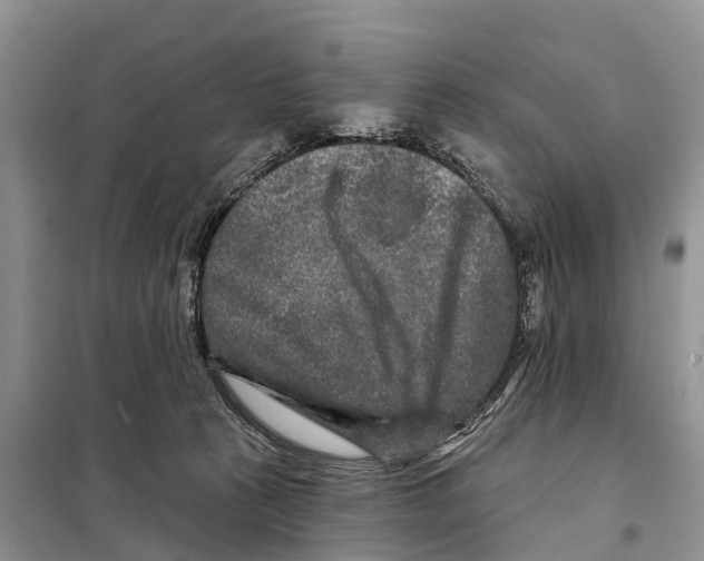 X0000097890273200804111026