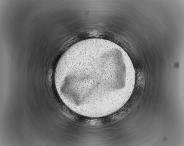 X0000097890275200804111026