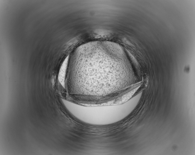 X0000097890276200804111026