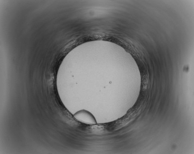 X0000097890279200804111026