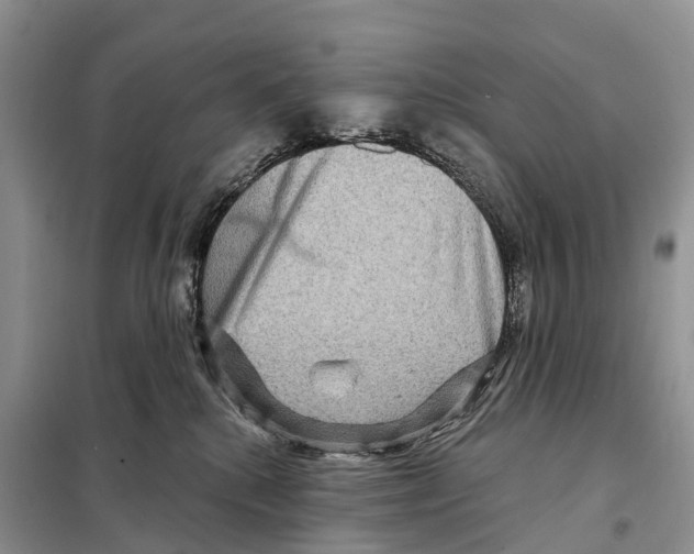 X0000097890280200804111026