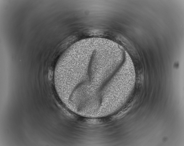 X0000097890281200804111026