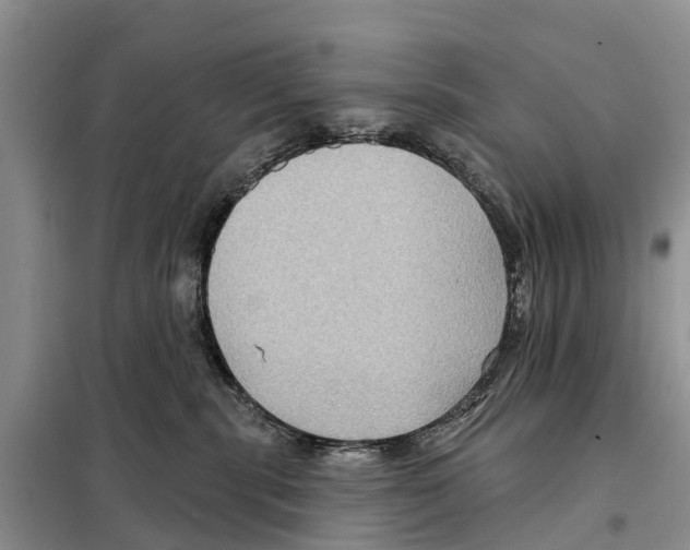 X0000097890283200804111026