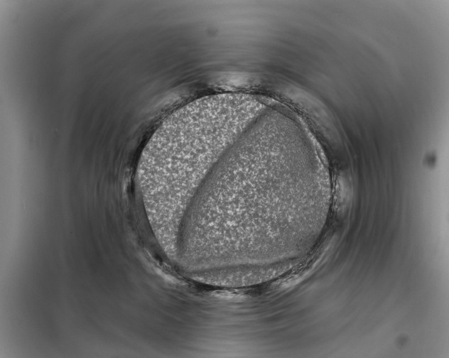 X0000097890284200804111026