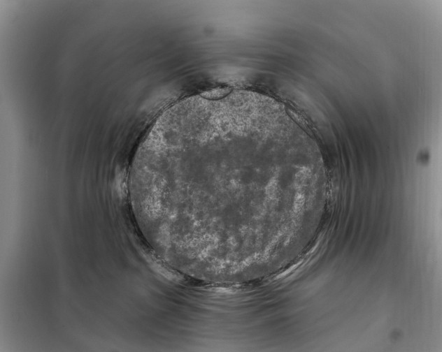 X0000097890285200804111026