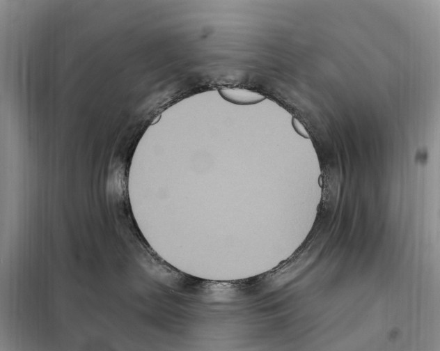 X0000097890287200804111026