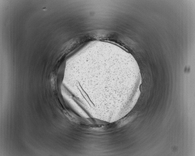 X0000097890288200804111026