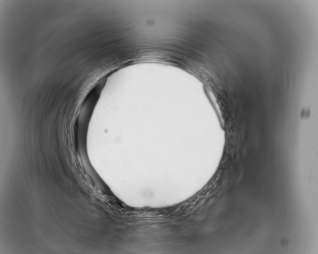 X0000097890289200804111025