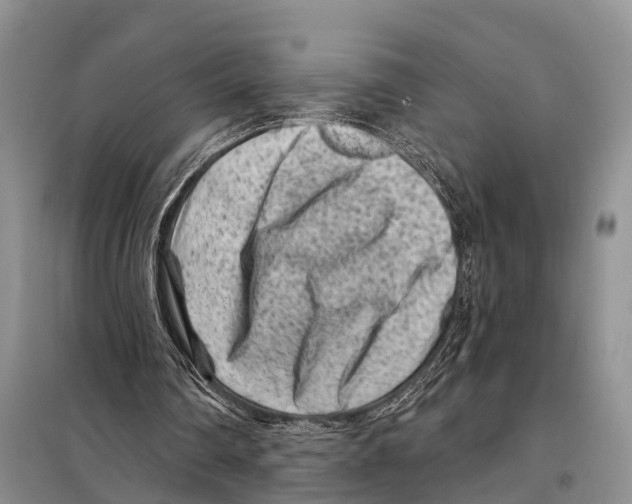 X0000097890290200804111025