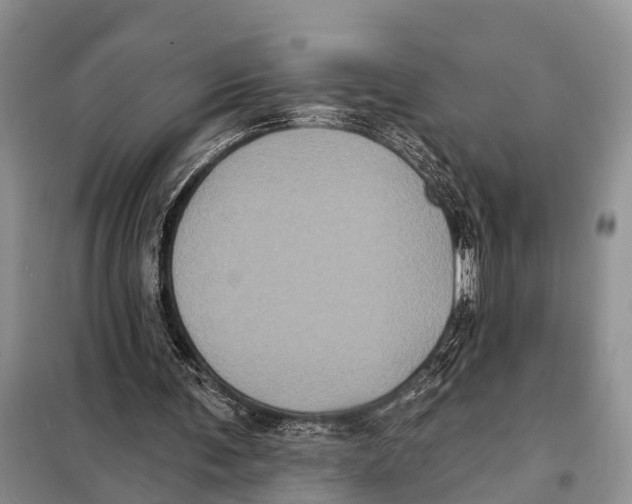 X0000097890291200804111025