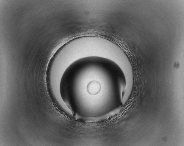 X0000097890292200804111025