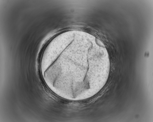 X0000097890294200804111025