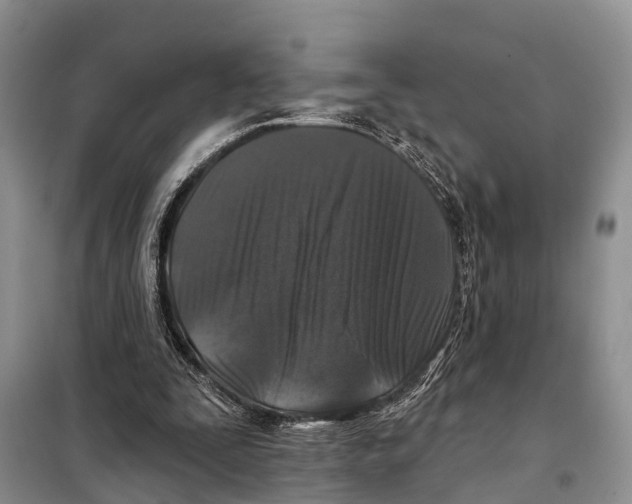 X0000097890295200804111025